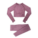 Conjunto Feminino Fitness Yoga Manga Longa - 2 peças
